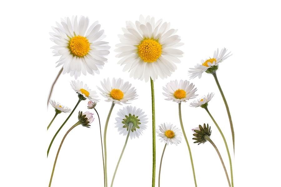 3 types of UV radiation from the sun you should know about - Jennifer Young