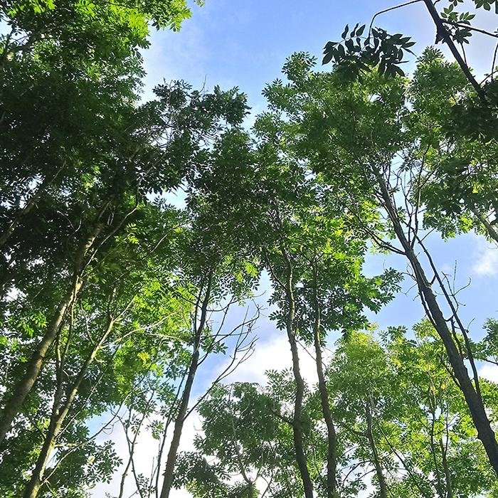 Thriving despite a diagnosis by Gail Donnan Part 2 - Jennifer Young