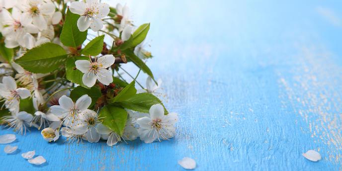 What to do if you lose your eyebrows during cancer treatment - Jennifer Young